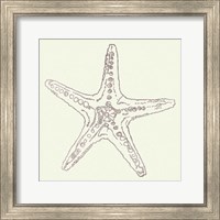 Framed 'Coastal Breeze Shell Sketches VI Silver' border=