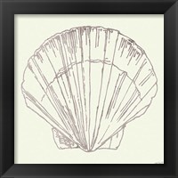 Framed 'Coastal Breeze Shell Sketches V Silver' border=