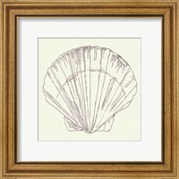 Framed 'Coastal Breeze Shell Sketches V Silver' border=