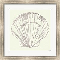 Framed Coastal Breeze Shell Sketches V Silver