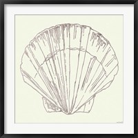 Framed Coastal Breeze Shell Sketches V Silver