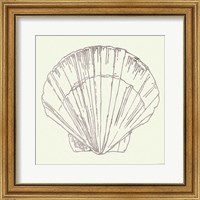 Framed Coastal Breeze Shell Sketches V Silver