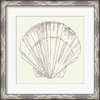 Framed Coastal Breeze Shell Sketches V Silver