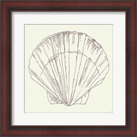 Framed 'Coastal Breeze Shell Sketches V Silver' border=