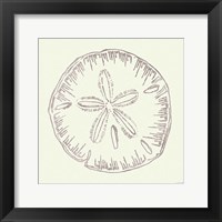 Framed Coastal Breeze Shell Sketches IV Silver