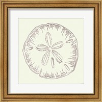 Framed Coastal Breeze Shell Sketches IV Silver