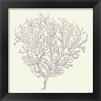 Framed 'Coastal Breeze Shell Sketches I Silver' border=