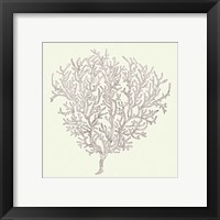 Framed 'Coastal Breeze Shell Sketches I Silver' border=