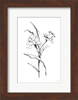 Framed Line Daffodil