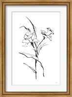 Framed Line Daffodil