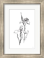 Framed Line Iris II