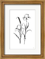 Framed Line Iris I