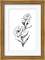 Framed Line Carnation III