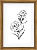 Framed Line Carnation III