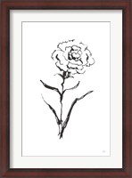 Framed Line Carnation I