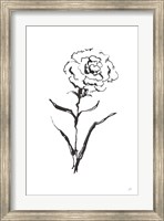 Framed Line Carnation I