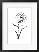 Framed Line Carnation I