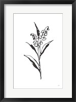 Framed Line Lily of the Valley II