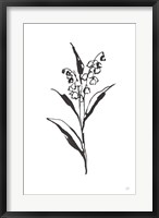 Framed Line Lily of the Valley II