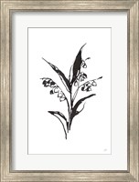 Framed Line Lily of the Valley I