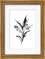 Framed Line Lily of the Valley I