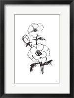 Framed Line Anemone II