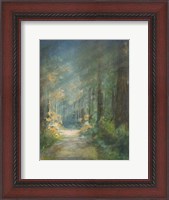 Framed Sun Soaked Redwoods