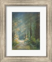 Framed Sun Soaked Redwoods