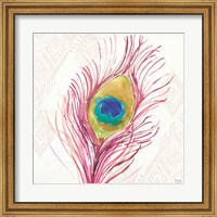 Framed Peacock Glory VI