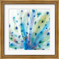 Framed Peacock Glory V