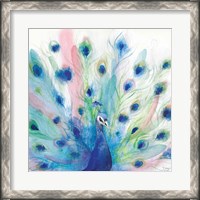 Framed Peacock Glory IV