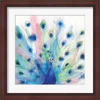 Framed Peacock Glory IV