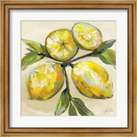 Framed Lemons on Cream