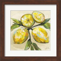 Framed Lemons on Cream