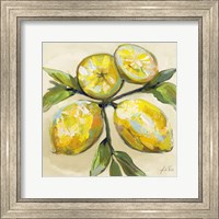 Framed Lemons on Cream