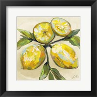 Framed Lemons on Cream