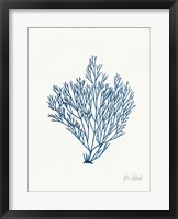 Sea Garden II Royal Blue Framed Print