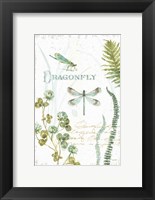 Framed My Greenhouse Botanical Dragonfly