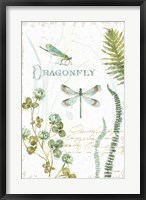 Framed My Greenhouse Botanical Dragonfly