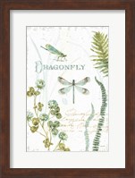 Framed My Greenhouse Botanical Dragonfly