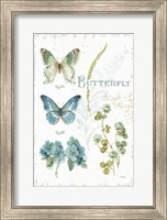 Framed My Greenhouse Botanical Butterfly