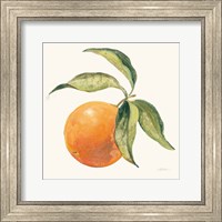 Framed Le Orange on Cream