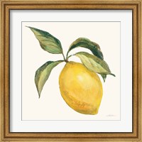 Framed Le Citron on Cream