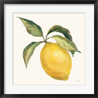 Framed Le Citron on Cream