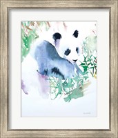 Framed Panda