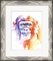 Framed Chimpanzee II