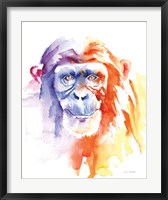 Framed Chimpanzee II