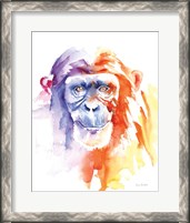 Framed Chimpanzee II