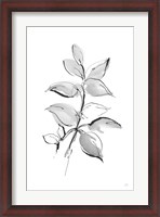 Framed Wash Leaf I