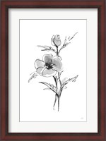 Framed Wash Anemone I